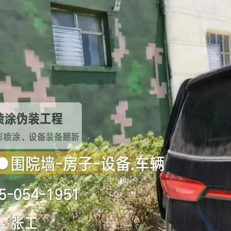 黔江数码迷彩漆施工